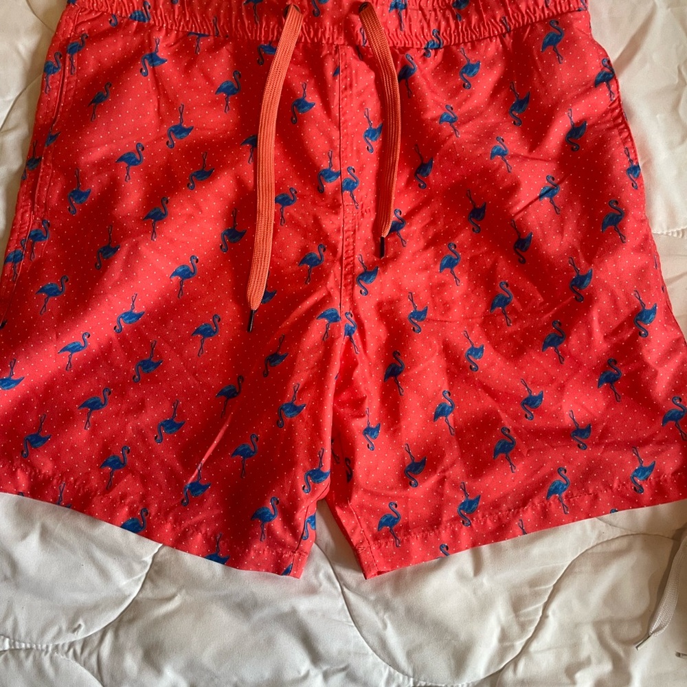 Red Flamingo Print Men's Shorts